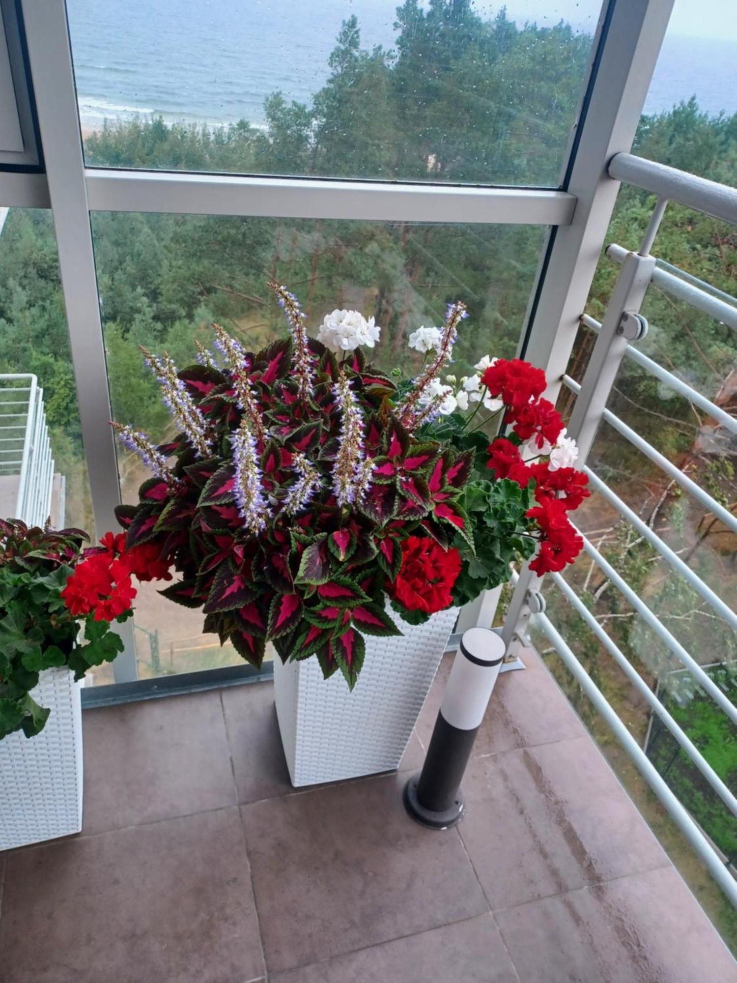 Apartament Z Widokiem Na Morze Дзивновек Номер фото